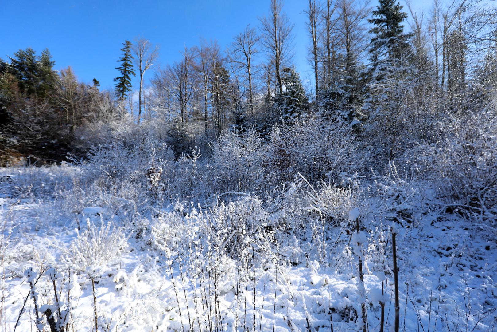 U ponedjeljak će temperature biti slične kao i u nedjelju, ali se očekuje i kiša. 