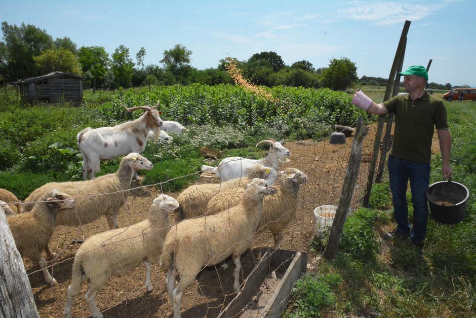 Obrt Agro Babić