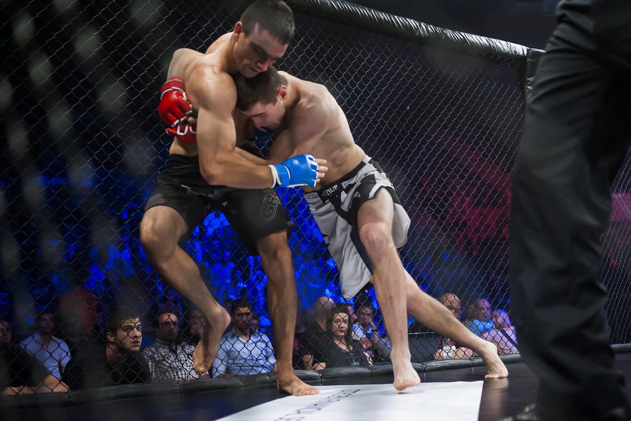 Hrvatska MMA liga