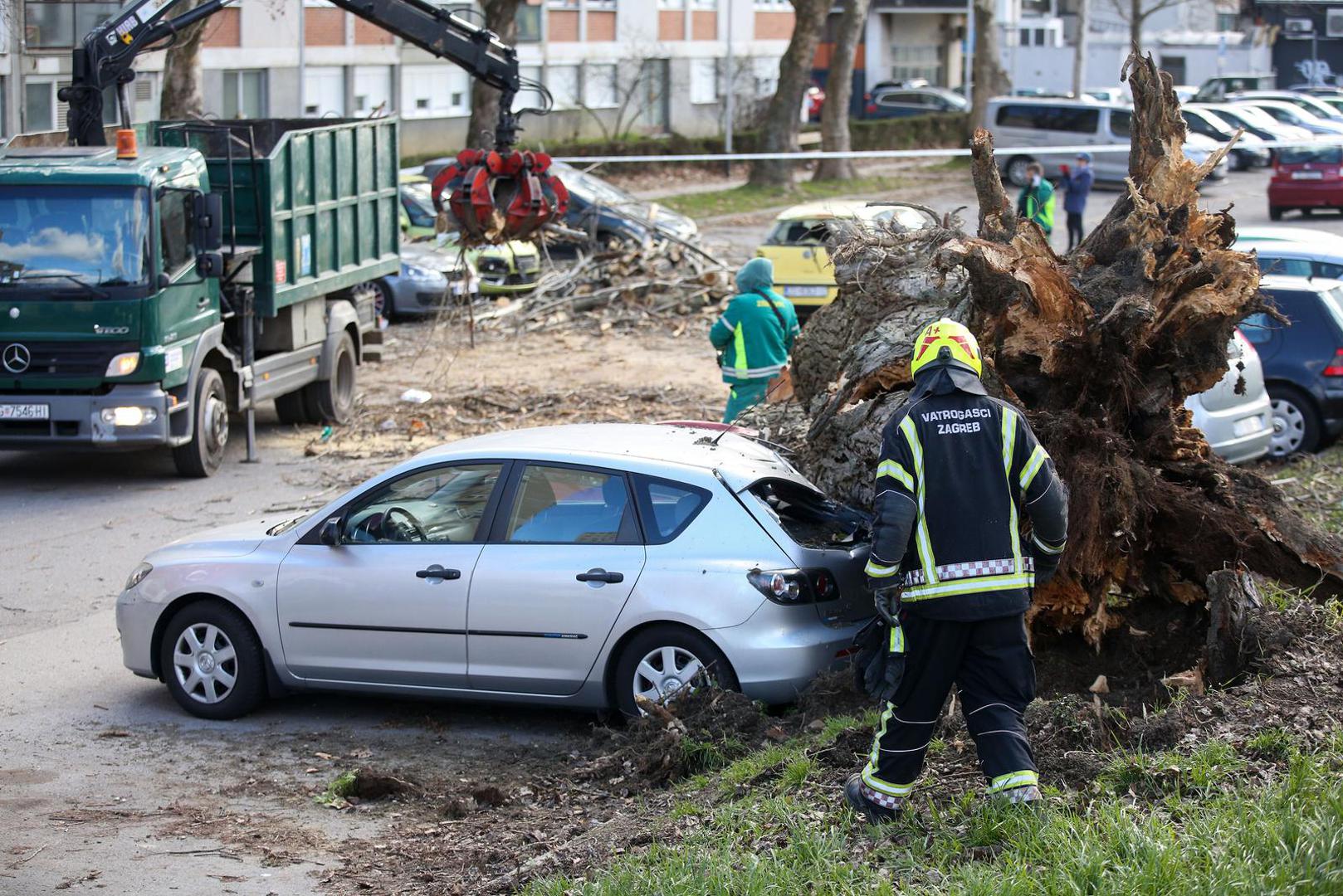 03.02.2023., Zagreb - Jak vjetar na Fallerovom setalistu srusio je stablo jablana na parkiraliste te ostetio vise vozila.  Photo: Zeljko Hladika/PIXSELL