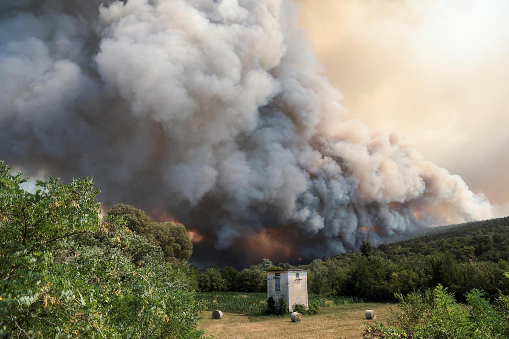 Smoke billows from a wildfire at the border with Slovenia seen from Rupa, Italy, July 20, 2022. REUTERS/Borut Zivulovic Photo: BORUT ZIVULOVIC/REUTERS