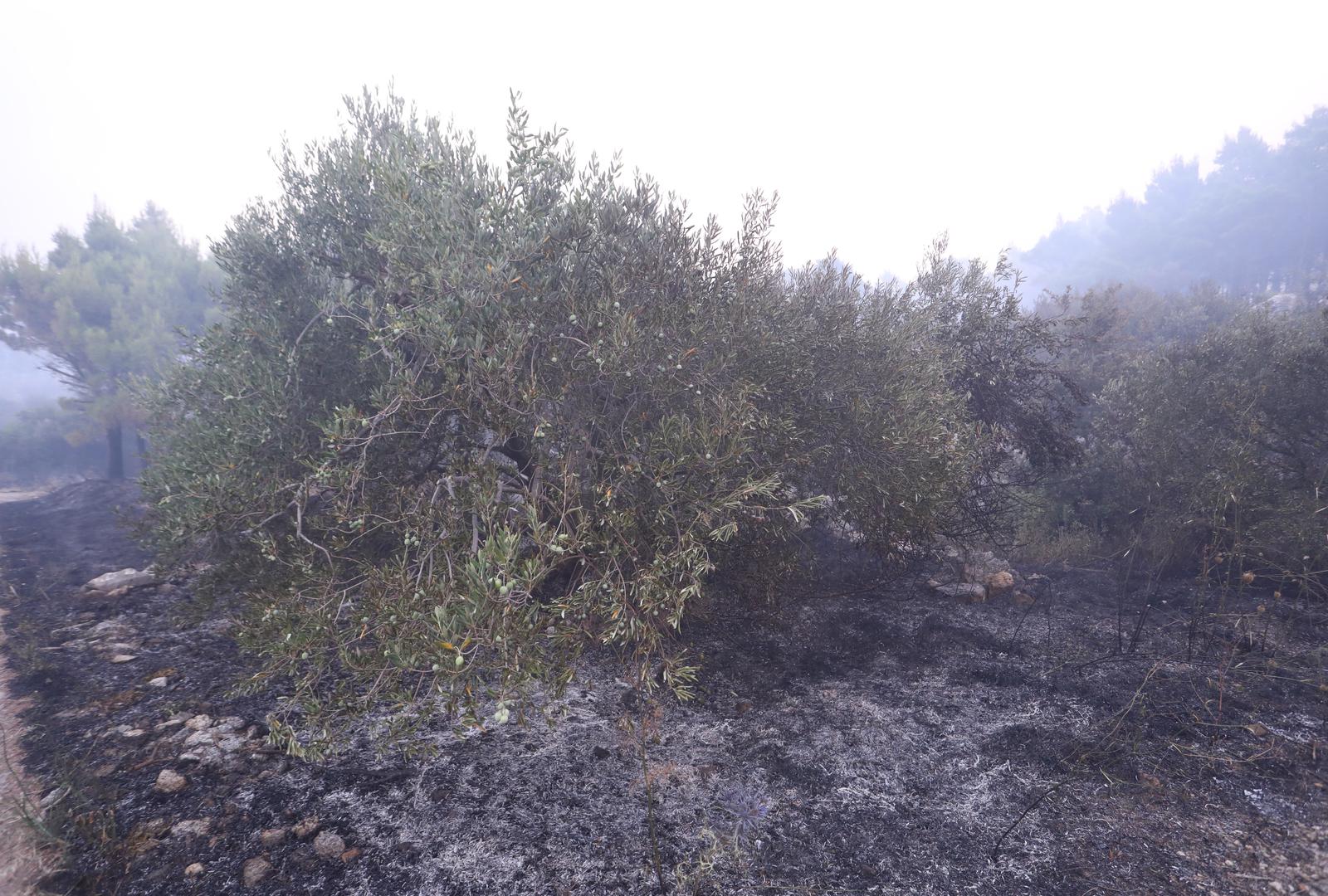 Na terenu su vatrogasci iz cijele županije kojima bi dobro došla zamjena na terenu. (Podgora)