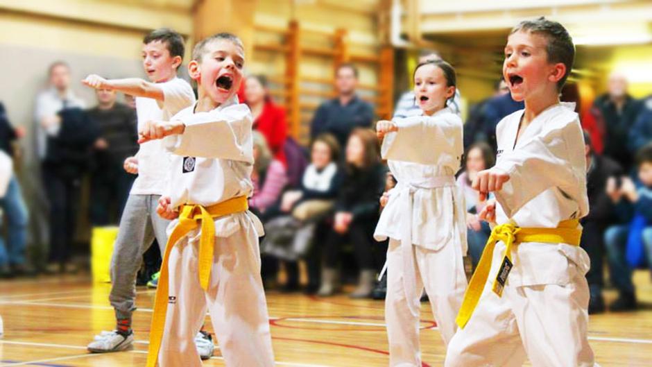 Taekwondo klub Čigra