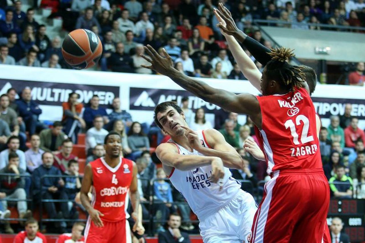 Cedevita - Anadolu Efes