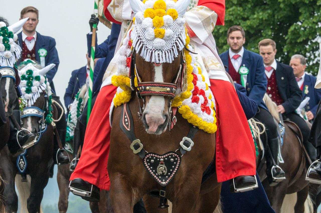 Kardinal Müller