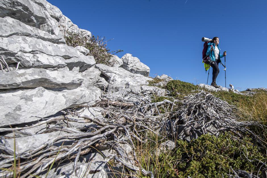 HIGHLANDER Velebit