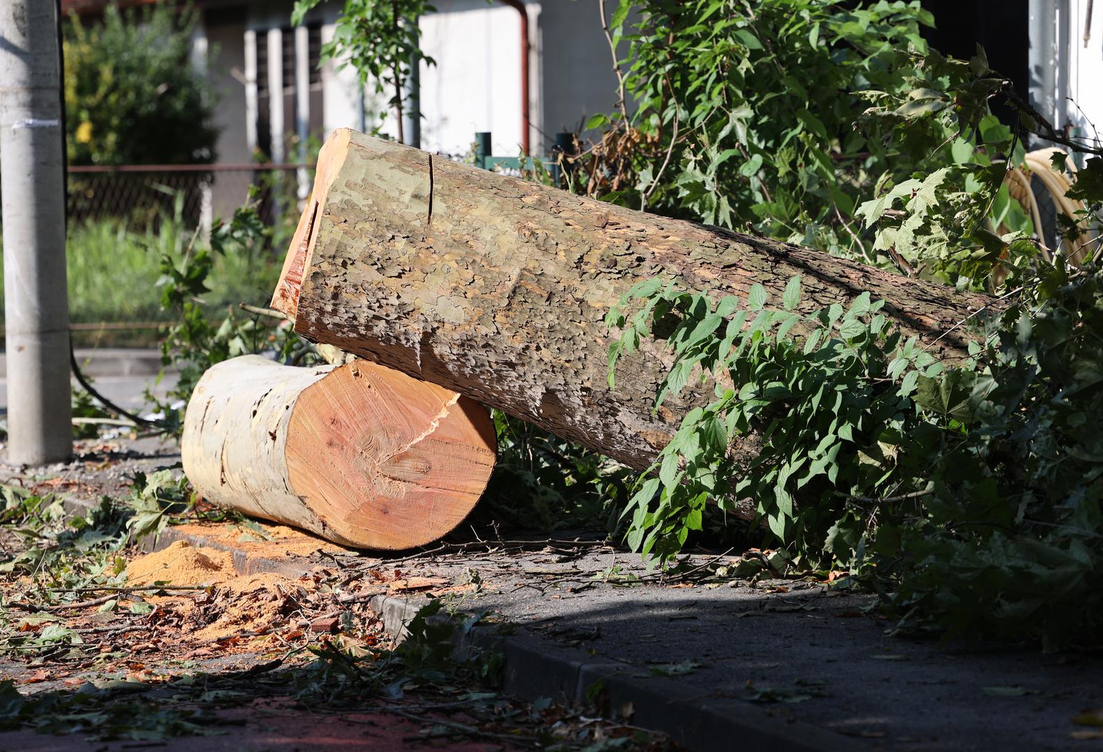 20.07.2023. Zagreb - Uklanjanje posljedica jucerasnjeg nevremena na Trnjanskoj cesti  Photo: Marko Prpic/PIXSELL