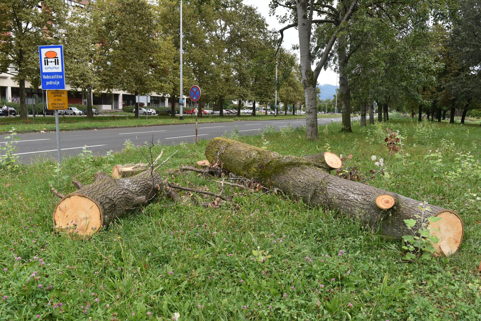 30.8.2023., Zagreb - Reportaza iz Novog Zagreba cije su javne povrsine zapustene. Photo: Davorin Visnjic/PIXSELL