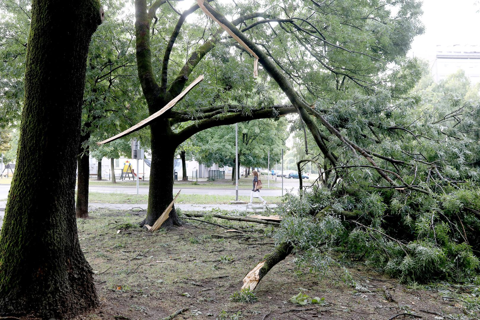 20.07.2023., Zagreb - Posljedice oluje koja je jucer poharala Zagreb i veliki dio Hrvatske i danas se vide na ulicam grada. Sve sluzbe nastavljaju raditi na rasciscavanju. Photo: Patrik Macek/PIXSELL