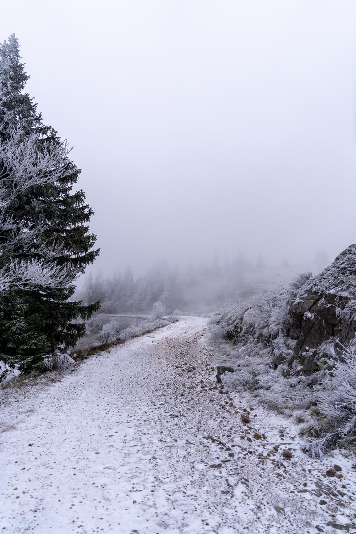 Što se tiče općeg vremena, jutros je bilo hladno, a najviša dnevna temperatura na kopnu bit će od 2 do 7°C, dok će na moru doseći 16°C. 