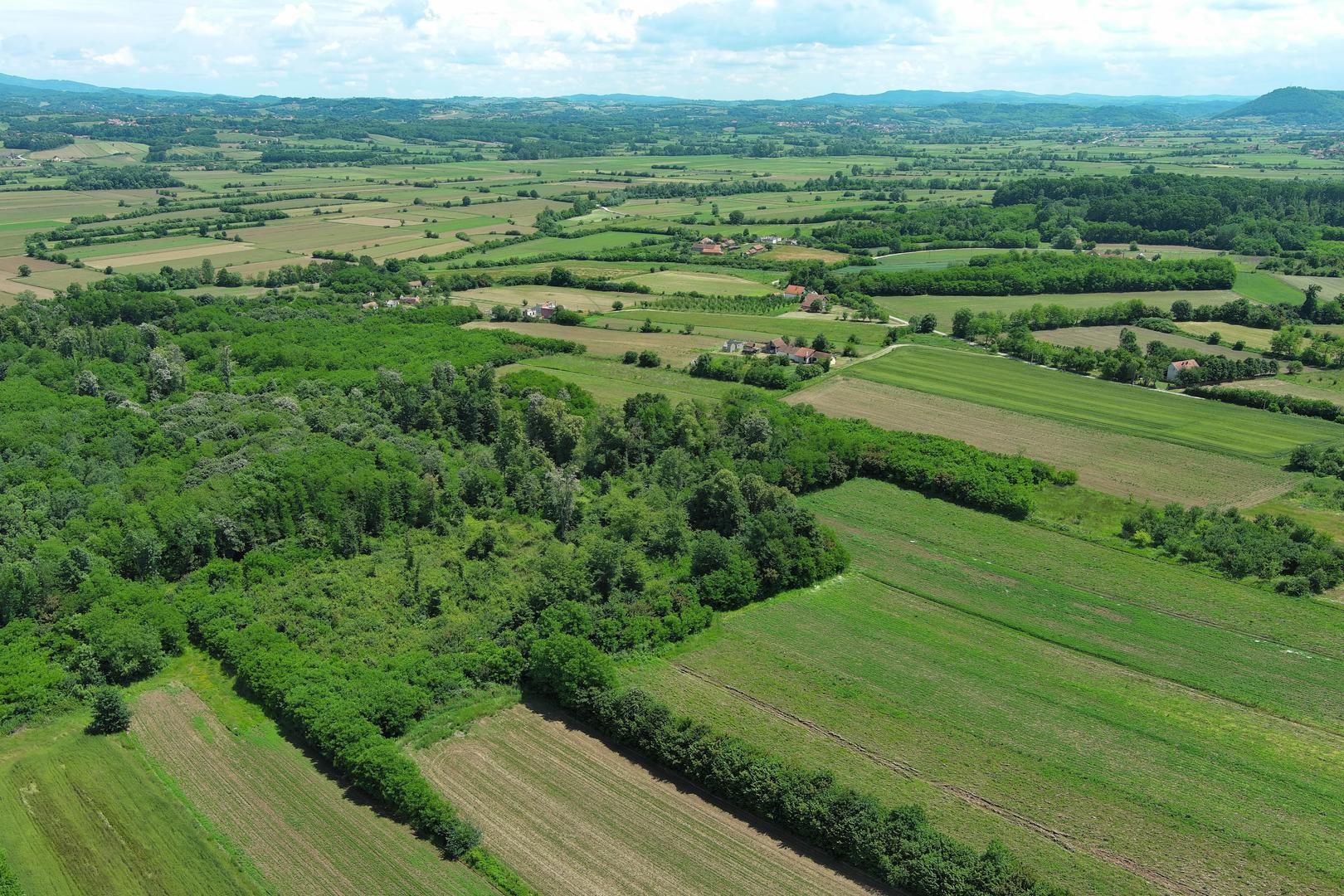 29.05.2024., Gornje Nedeljice, Loznica (Srbija) - Stanovnici Gornjih Nedeljica godinama se bore protiv geoloskih istrazivanja kompanije Rio Tinto koja u njihovom selu planira da otvori rudnik litijuma. Stanovnici izrazavaju svoju zabrinutost zbog rudarskih aktivnosti koje ugrozavaju njihove izvore vode i prirodno okruzenje. Ove ekoloske nevolje podstakle su mjestane na organizaciju i borbu za ocuvanje svojih prirodnih resursa a zbog cega su u Srbiji prije nekoliko godina mjesecima trajali veliki ulicni prosvjedi nakon cega je Vlada Srbije stopirala cijeli projekat. Ipak, nakon posljednjih izbora predsjednik Srbije Aleksandar Vucic je nagovijestio nastavak ovog projekta. Nebojsa Petkovic, stanovnik Gornjih Nedeljica i aktivista eko udruzenja "Ne damo Jadar" godinama se sa svojim komsijama i aktivistima bori protiv ovog projekta i to je jedan od najjacih ekoloskih pokreta u svijetu posljednih godina i trenutno je ovaj projekat Rio Tinta u dolini rijeke Jadar, inace trenutno najveci planirani svjetski projekat iskopavanja litijuma, stopiran upravo zahvaljujuci aktivizmu i masovnim prosvjedima sirom Srbije.
Photo: Dejan Rakita/Pixsell Photo: Dejan Rakita/PIXSELL