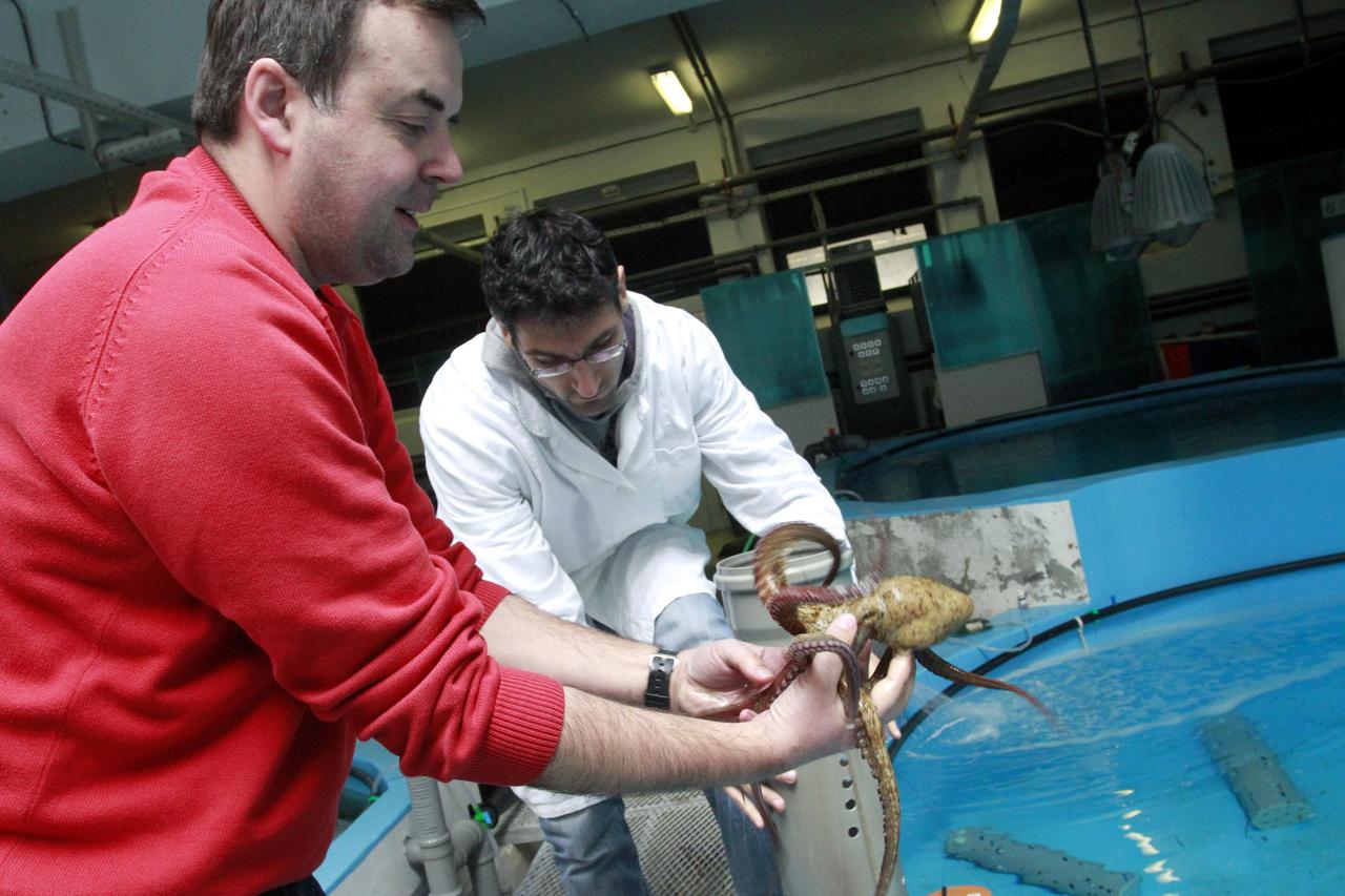  Institut za oceanografiju