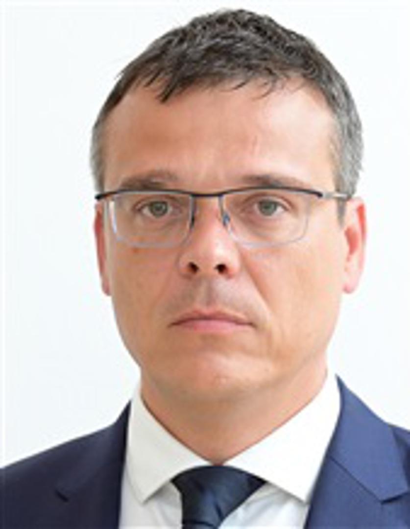 Ivica Mesić (DP)