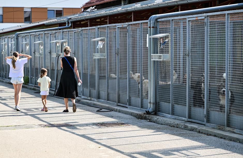 Zagreb: Sklonište za životinje u Dumovcu