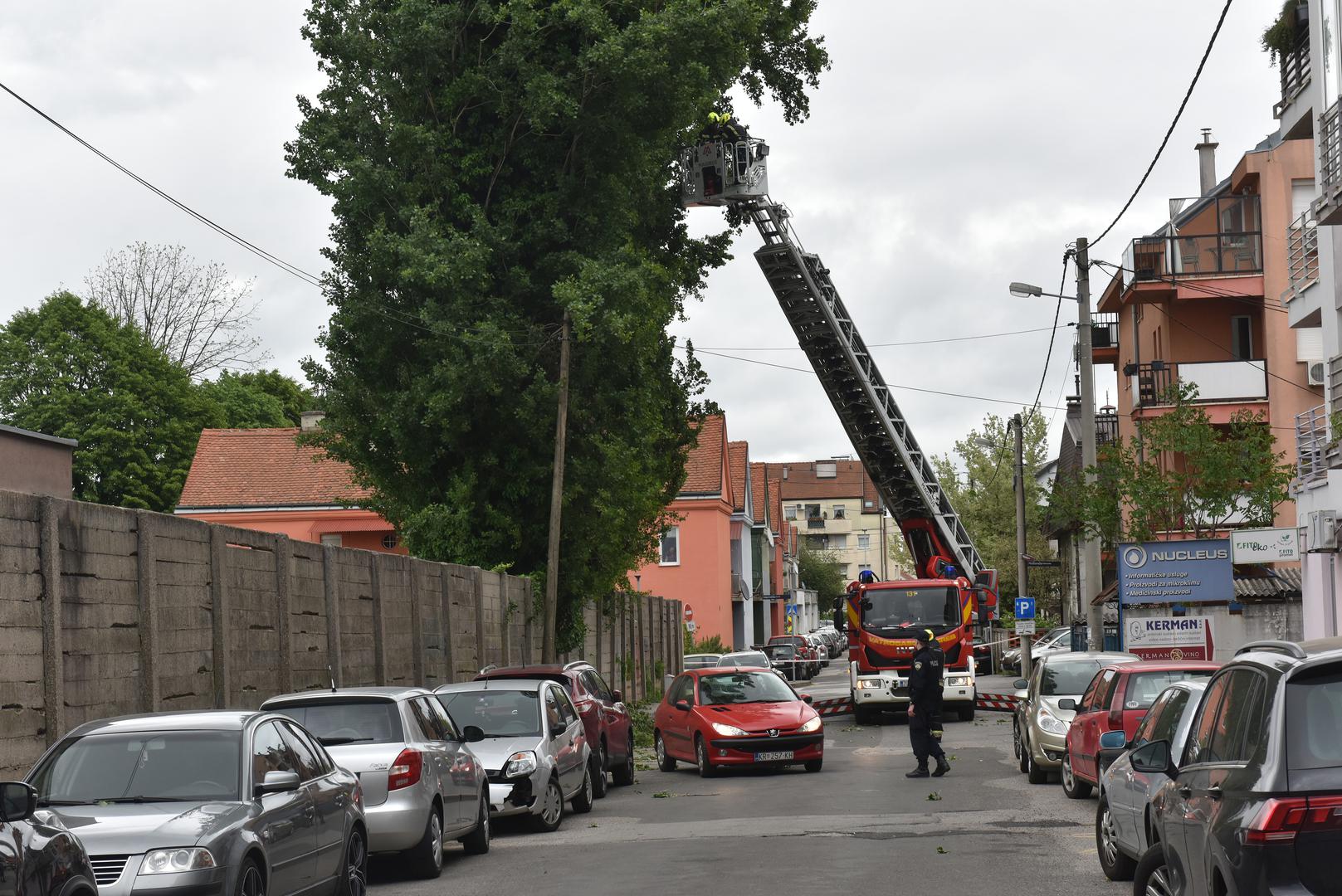 16.4.2024., Zagreb - U Moscenickoj ulici jak vjetar otrgnuo je nekoliko grana s jablana, pa vatrogasci uklanjaju grane koje bi mogle pasti na ulicu. Photo: Davorin Visnjic/PIXSELL