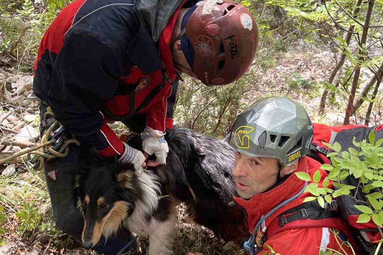 Riječki HGSS u dvodnevnoj akciji spasio psa koji je pao u provaliju u zaleđu Brseča
