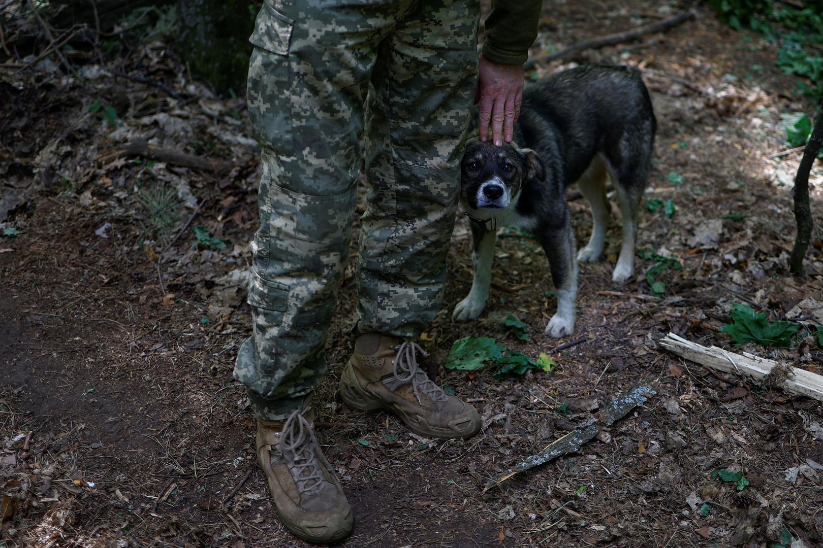 Ukrainian serviceman of the 42nd Separate Mechanized Brigade with the call sign 'Maestro' pets dog with the name 'Senator' at a position near a border, amid Russia's attack on Ukraine, in Kharkiv region, Ukraine May 16, 2024. REUTERS/Valentyn Ogirenko Photo: VALENTYN OGIRENKO/REUTERS