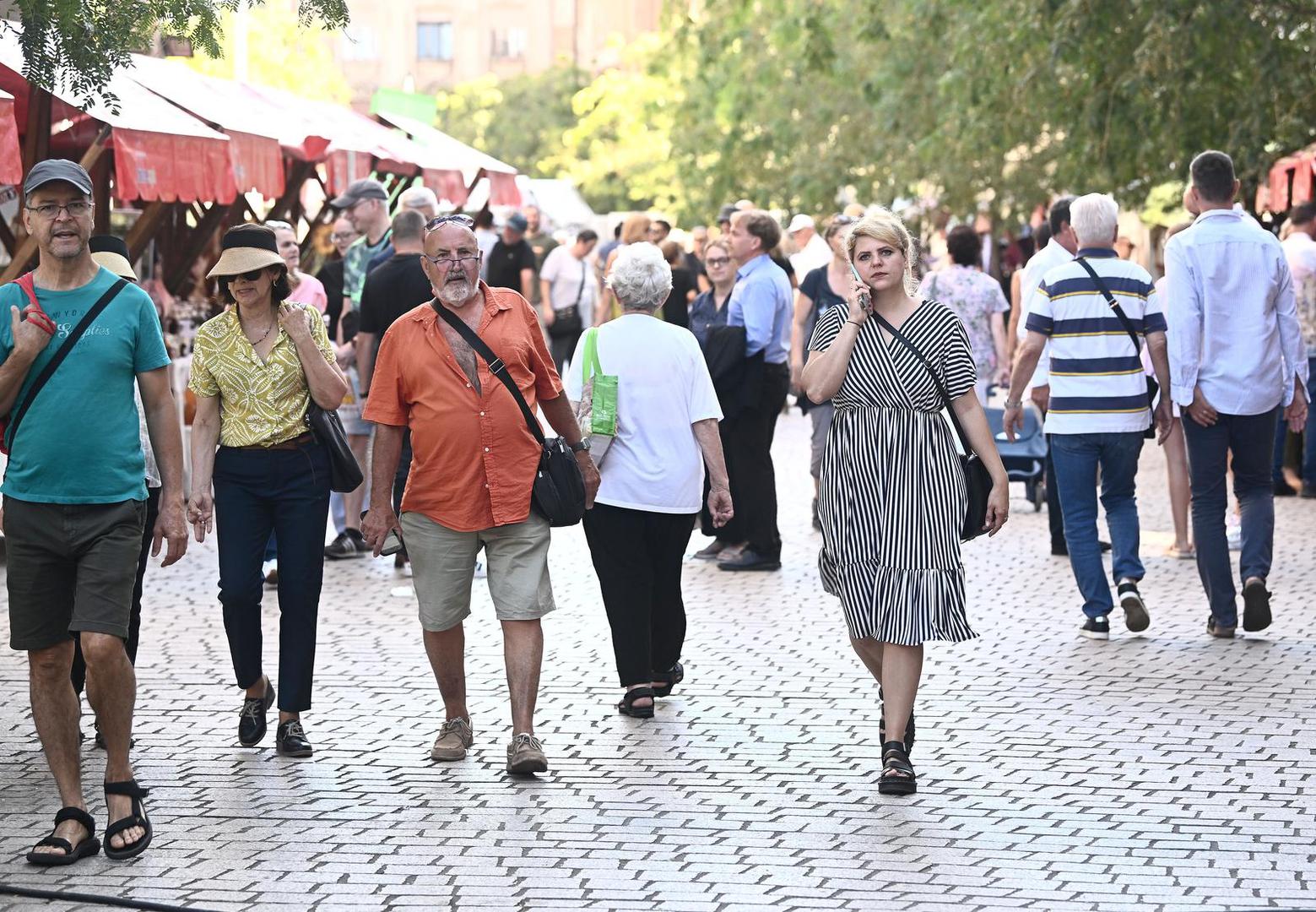 ZeGeVege dio je međunarodne manifestacije Veganmania koja se održava u Beču, Münchenu i u još 15 europskih gradova, a ostale bratske festivale ZeGeVege nadmašuje po svojoj veličini, brojnosti izlagača i posjećenosti.