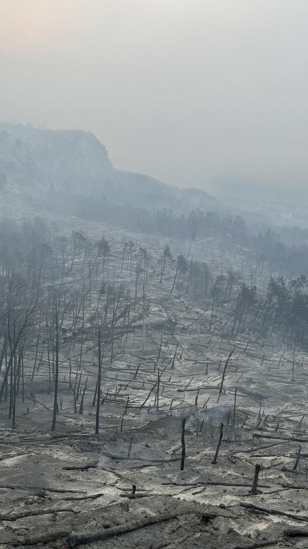 01.08.2024.,Makarska- Jutro je otkrilo katastrofu opozarene povrsine na podrucju Parka prirode Biokovo. Photo: Ivo Cagalj/PIXSELL