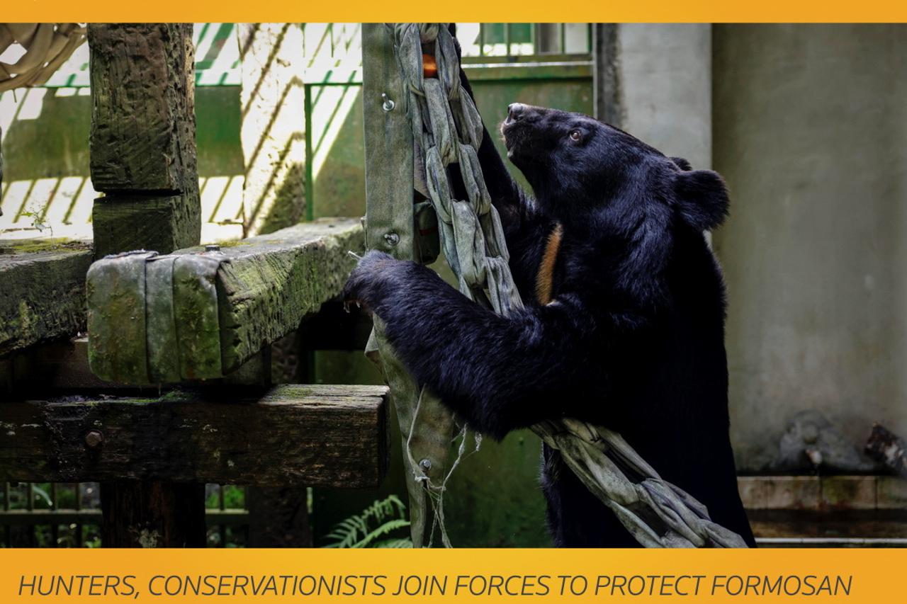 The Wider Image: Hunters, conservationists join forces to protect Formosan black bear