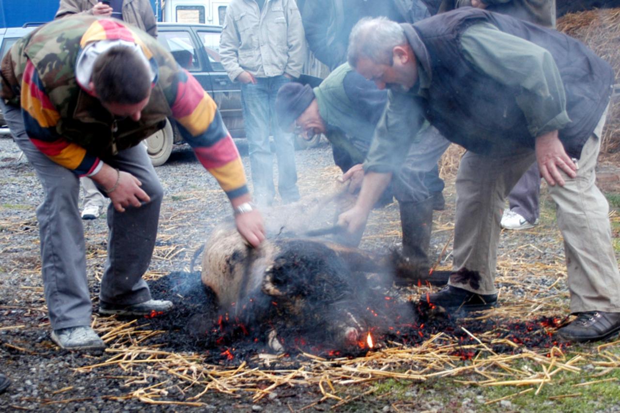 \'Podravina-bilogora, 17.1.2011. Grubisno Polje Dlaka sa zivotinje je, kao nekada, uklonjena paljenjem a ne kako je danas uobicajeno vrucom vodom  Michael Palijan / VLM                         \'