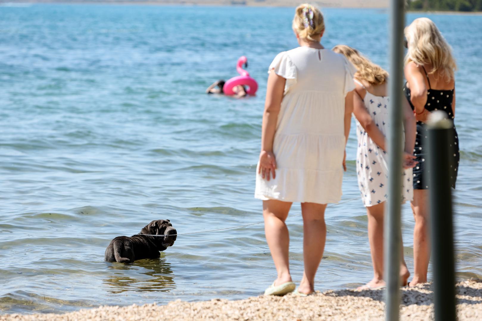 11.07.2023., Vrsi Mulo  - Turisticka patrola i Vecernjakove zvjezdice - Vrsi Mulo Photo: Sime Zelic/PIXSELL