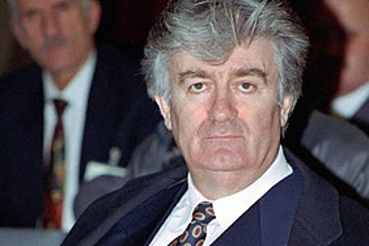 karadzic_1link.jpg