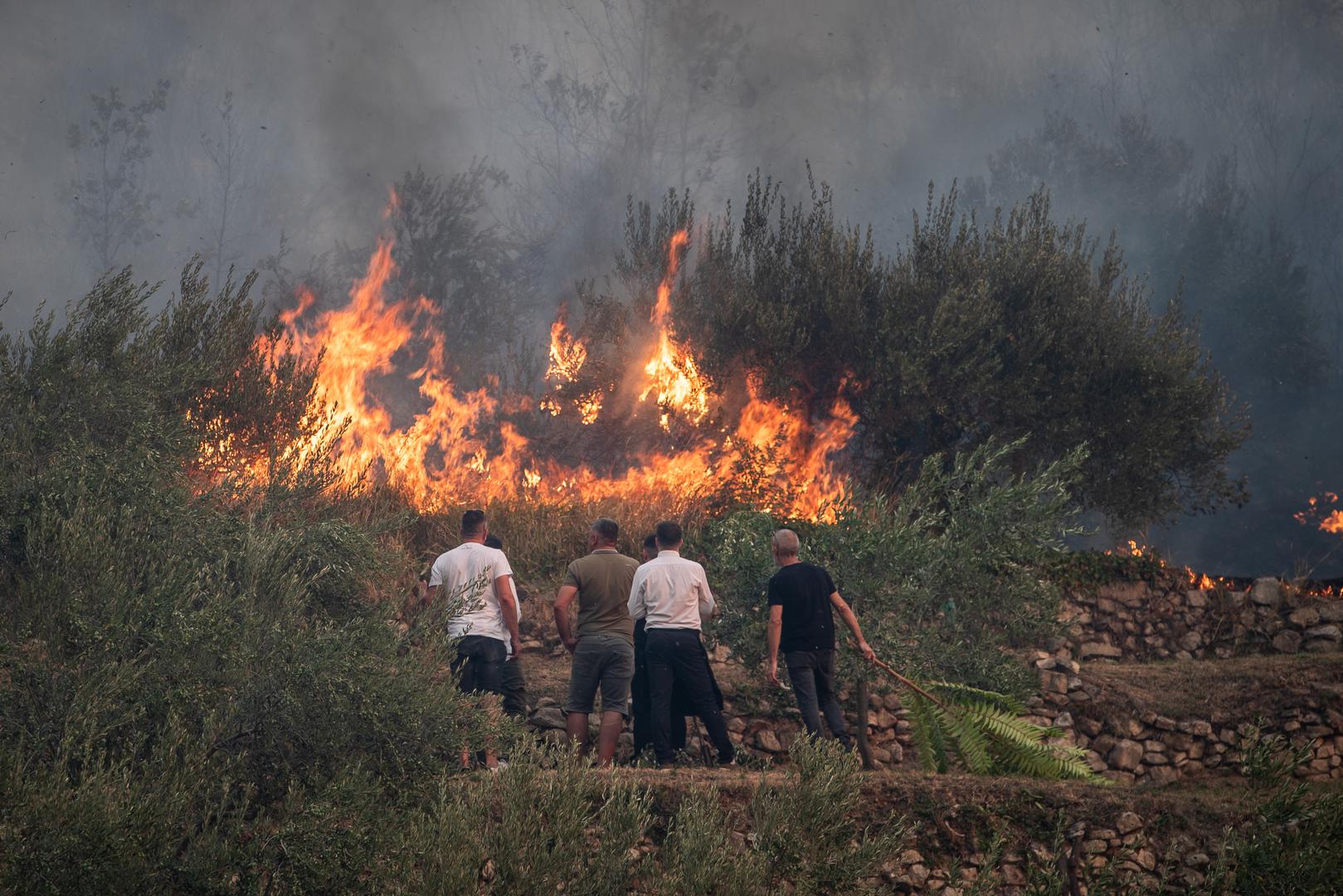 27.08.2024., Zrnovnica - U poslijepodnevnim satima vjetar je ponovno razbuktao pozar koji je usao u Zrnovnicu. Photo: Zvonimir Barisin/PIXSELL