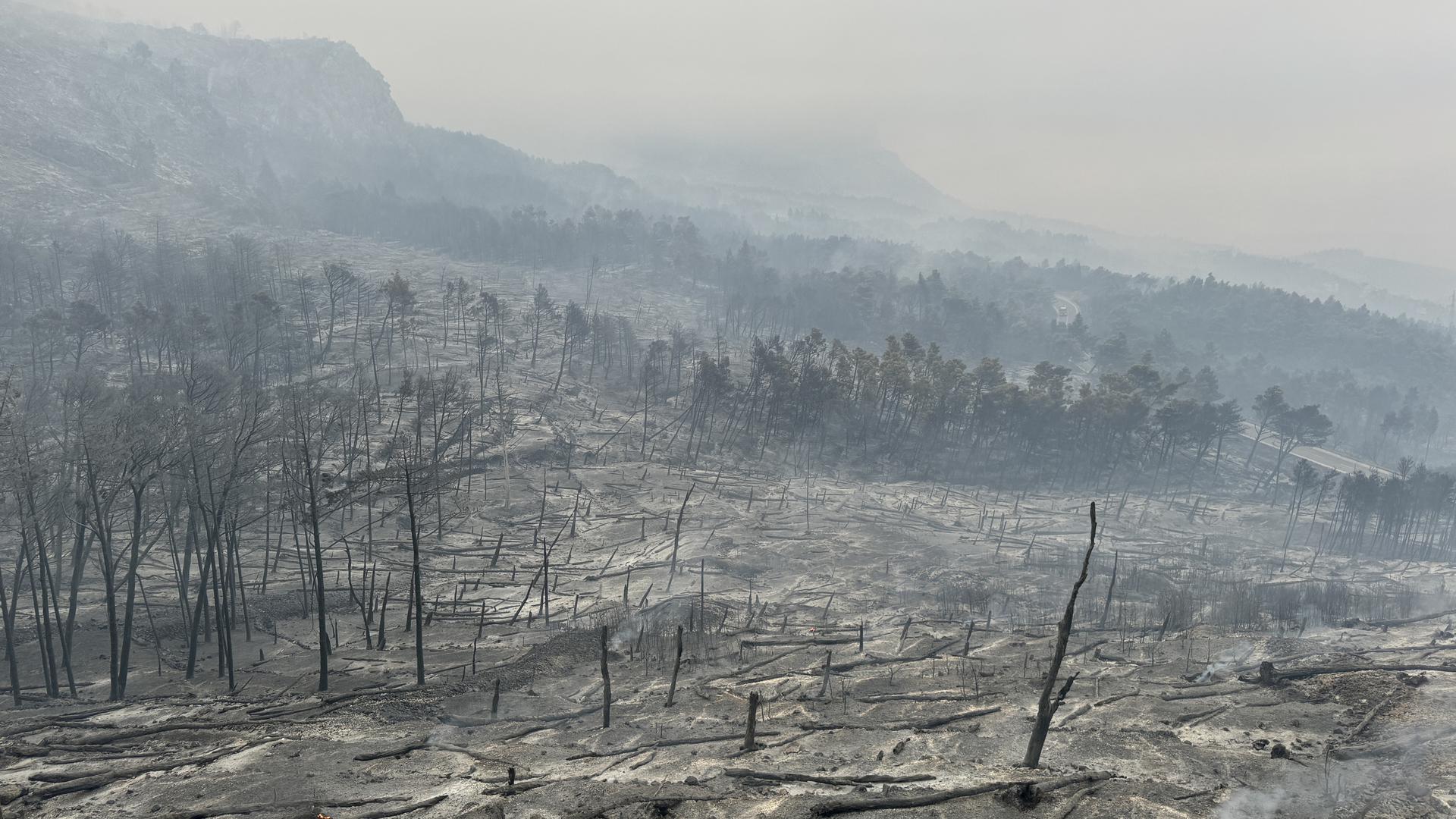 01.08.2024.,Makarska- Jutro je otkrilo katastrofu opozarene povrsine na podrucju Parka prirode Biokovo. Photo: Ivo Cagalj/PIXSELL