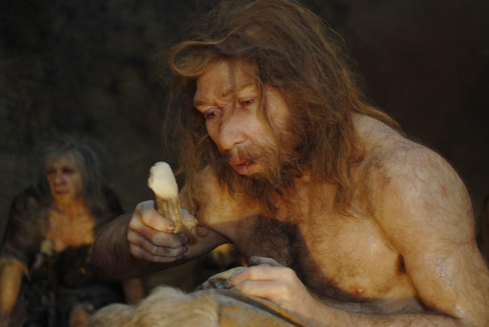 Muzej krapinskih neandertalaca: U srcu Zagorja, u Krapini, nalazi se jedno od najvažnijih svjetskih arheoloških nalazišta – Hušnjakovo brdo. Muzej krapinskih neandertalaca, moderni muzej posvećen otkrićima iz doba neandertalaca, nudi zanimljivo iskustvo koje će oduševiti djecu, ali i odrasle. Osim samog muzeja, vrijedi razgledati i Krapinu, grad bogate i zanimljive povijesti.