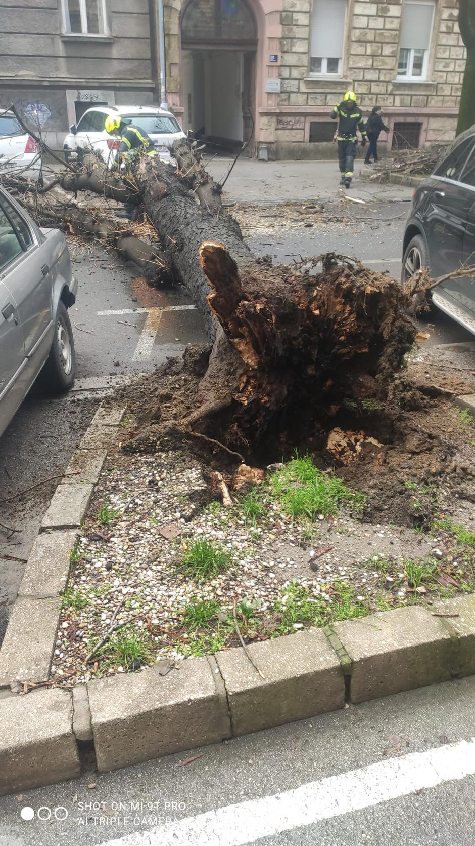 Srušilo se stablo kod Vrtića Izvor