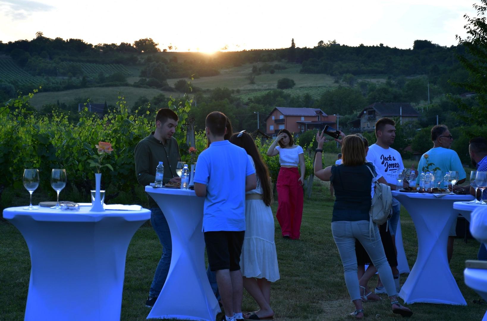 19.06.2021., Brodski Stupnik - U vinogradima ispred vinskog hotela „Stupnicki Dvori“ odrzana je po prvi put enolosko-gastronomska manifestacija „Zalazak u vinogradu“ u organizaciji Turisticke zajednice Meridiana Slavonica i TZ Brodsko-posavske zupanije. 
Photo: Ivica Galovic/PIXSELL