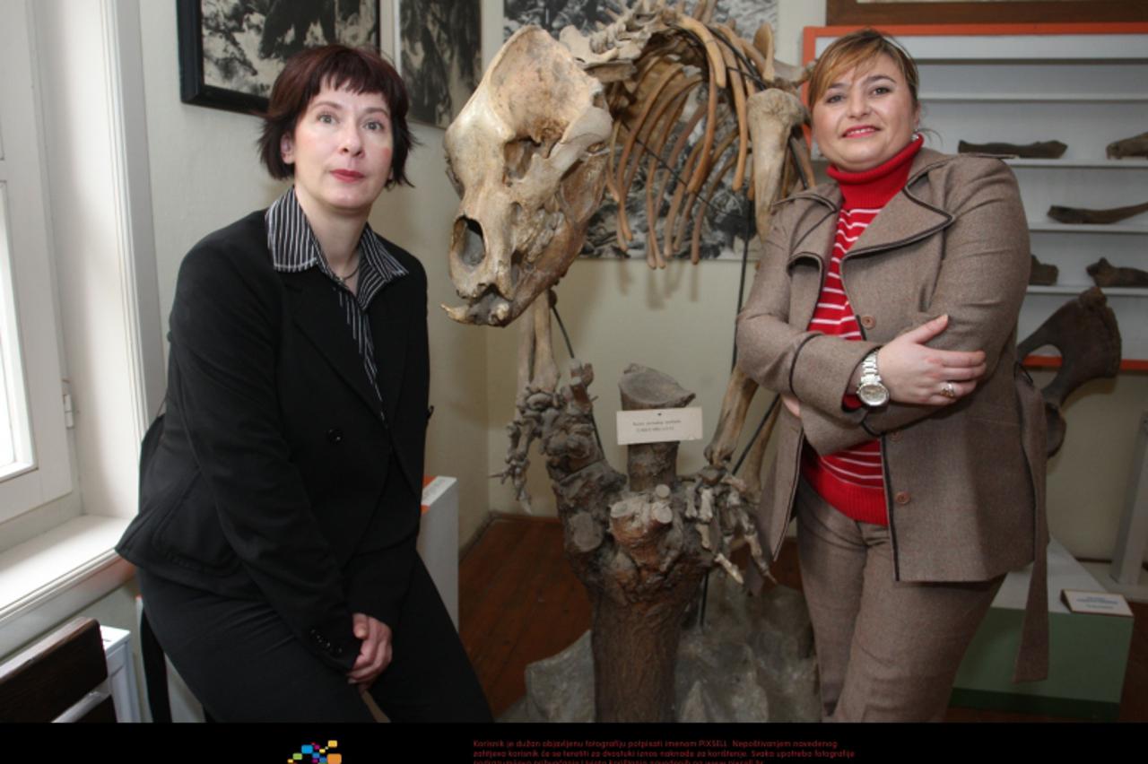 '23.02.2010., Krapina - Uredjenje i zavrsne pripreme za otvorenje Muzeja krapinskog neandertalca. Ravnateljica Goranka Horjan i voditeljica muzeja Vlasta Krklec.  Photo: Boris Scitar/PIXSELL'