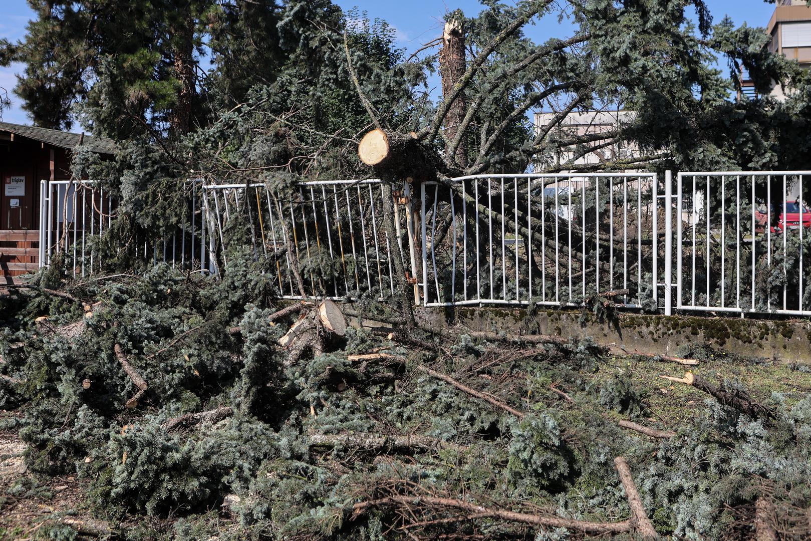 20.07.2023., Zagreb, Hrvatska - U ulici Frana Folnegovica na broju 10 palo je nekoliko stabala. Photo: Marko Prpic/PIXSELL