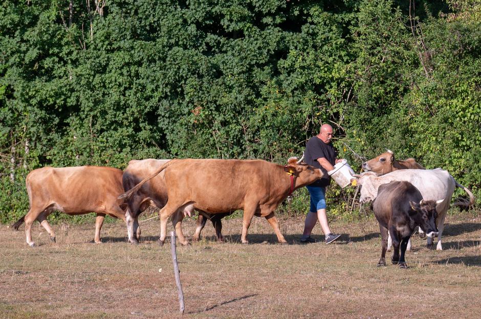 Lovinac: OPG Dolarovi doci bavi se stočarstvom i proizvodnjom kolača