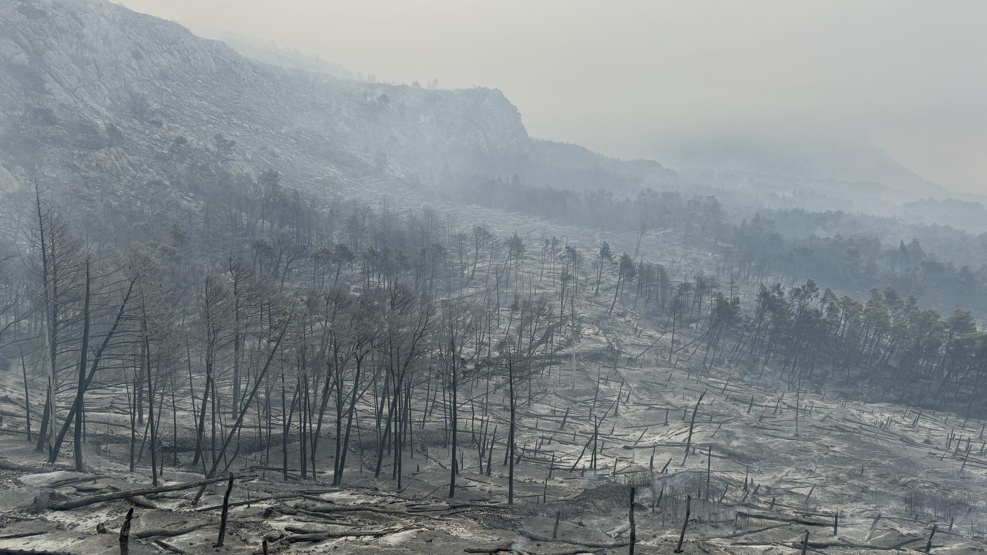 01.08.2024.,Makarska- Jutro je otkrilo katastrofu opozarene povrsine na podrucju Parka prirode Biokovo. Photo: Ivo Cagalj/PIXSELL