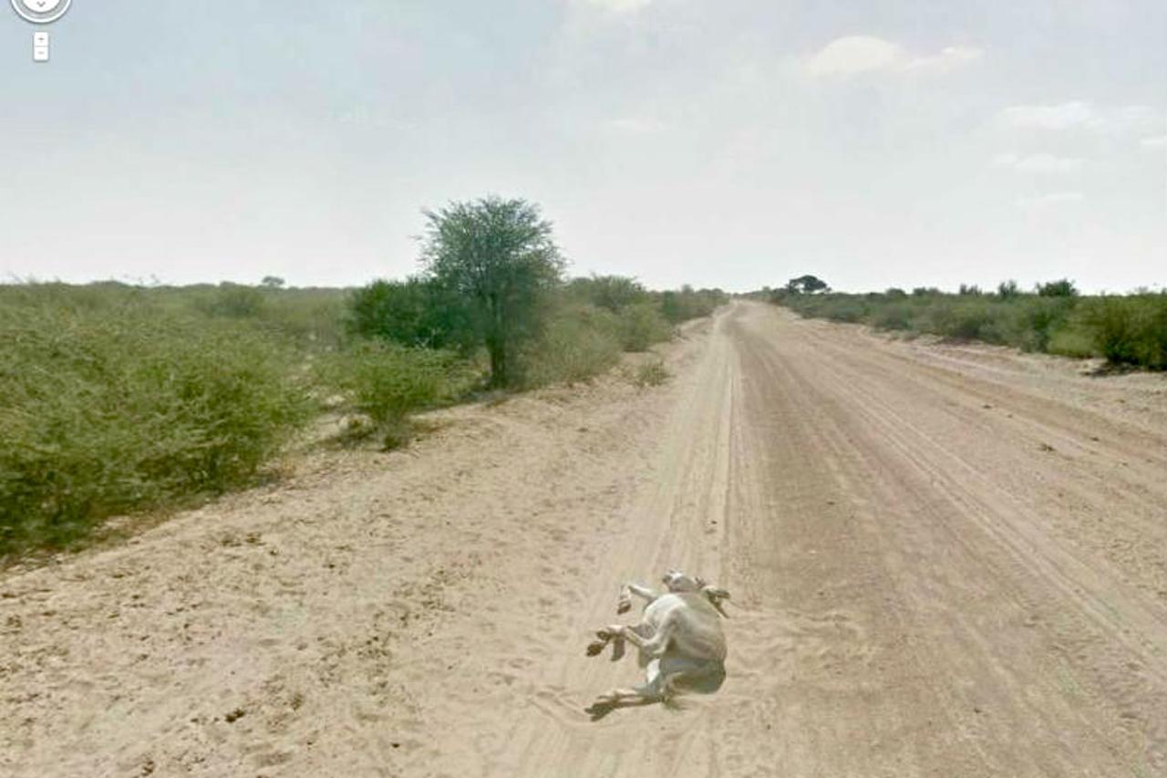 Bizarne stvari snimljene Google Street Viewom (1)