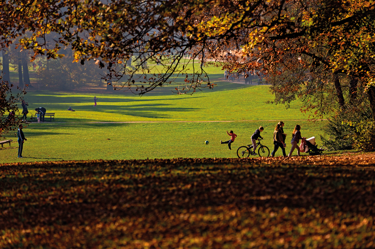 Maksimir