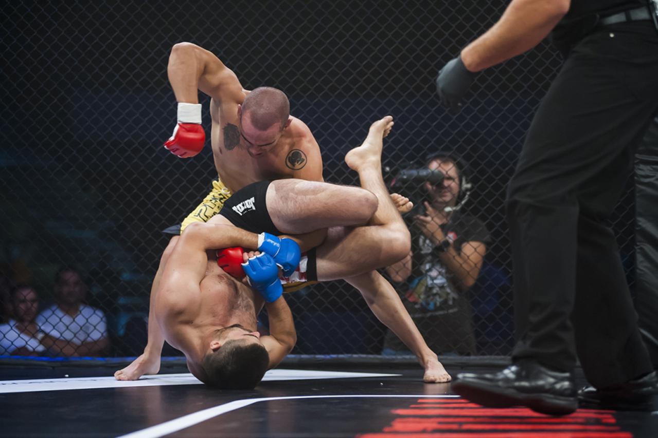 Hrvatska MMA liga (1)