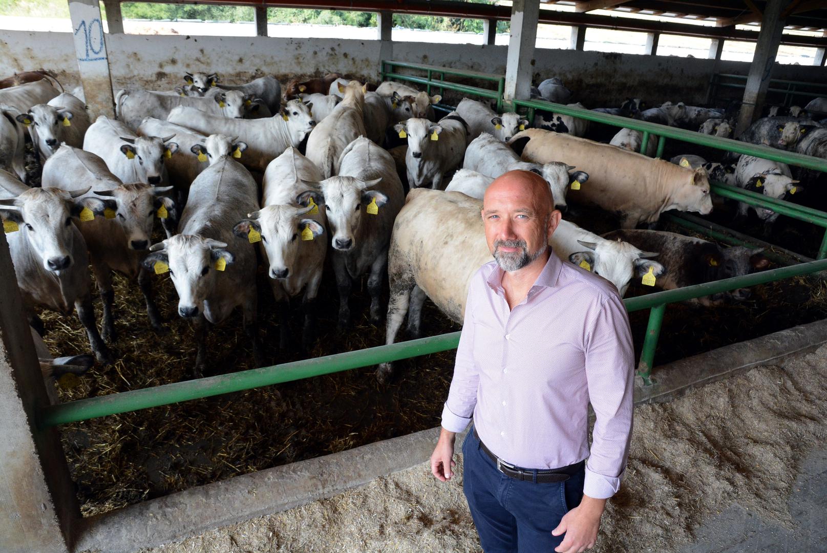 Darko Celovec, predsjednik Udruge Baby Beef: Tovljači junadi uspijevaju nabaviti manje od 25% domaće teladi za tov pa je moraju uvoziti