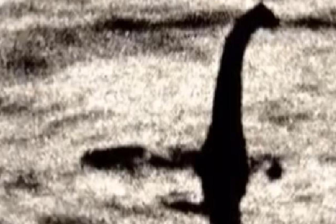 nessie