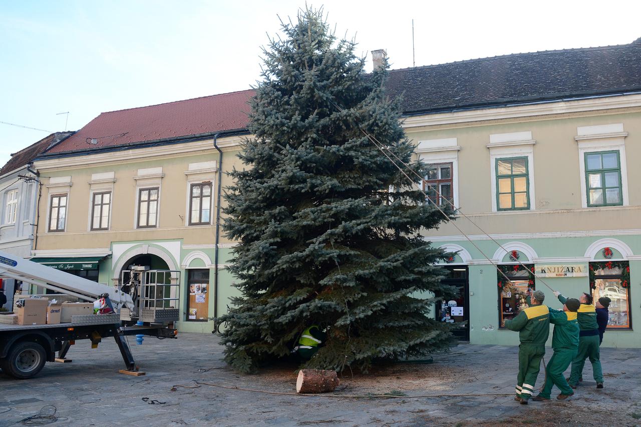 Sisak: U središtu grada postavljena jelka visoka 10-ak metara