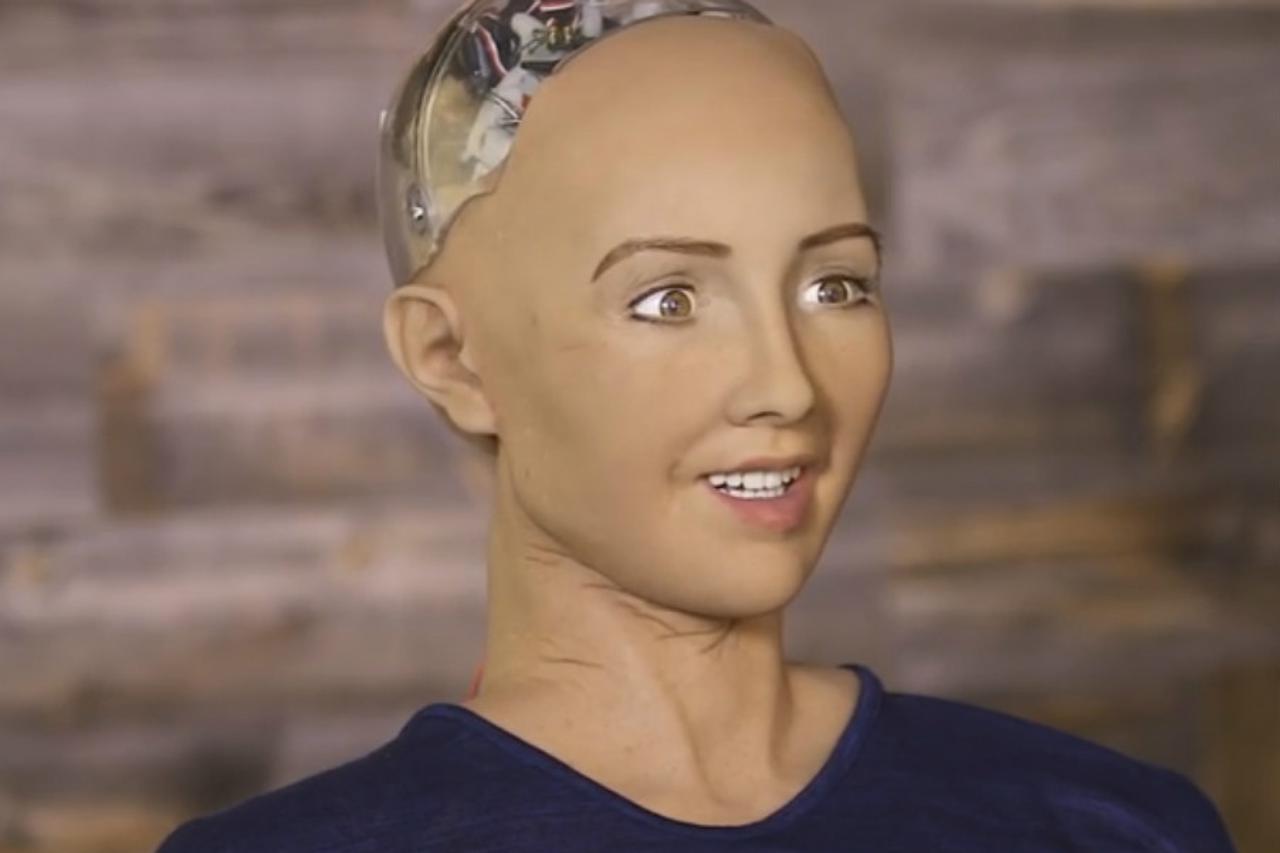 Humanoidni robot