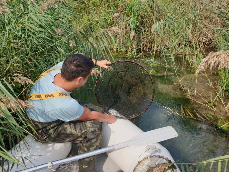 Invazivne strane vrste ugrožavaju bioraznolikost, ekosustav, zdravlje ljudi i gospodarstvo