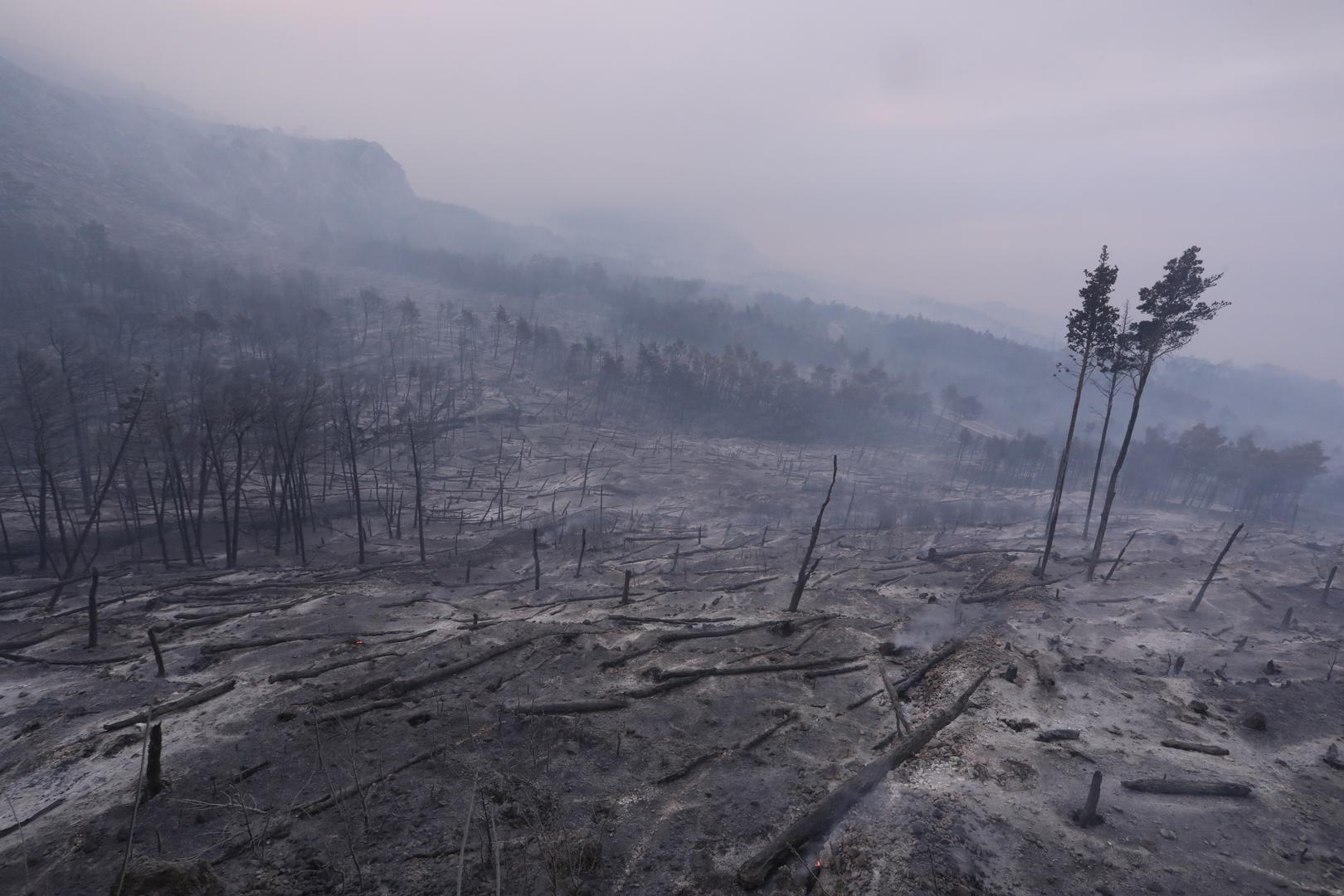 U Tučepima 306 vatrogasaca sa 77 vozila pokušavaju od utorka navečer suzbiti vatrenu stihiju na otvorenom prostoru koja je nošena vjetrom zahvatila i Park prirode Biokovo te došla do Podgore u kojoj su sinoć stanovnike prebacili iz njihovih kuća u školu. (Park prirode Biokovo)