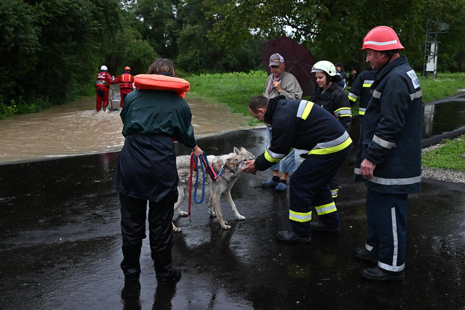 05.08.2023., Drenje Brdovecko - Civilna zastita i HGSS spasavaju zivotinje iz poplavljenjih domova Photo: Davor Puklavec/PIXSELL