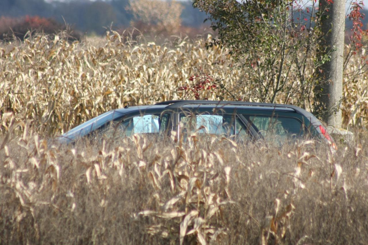 auto u polju (1)