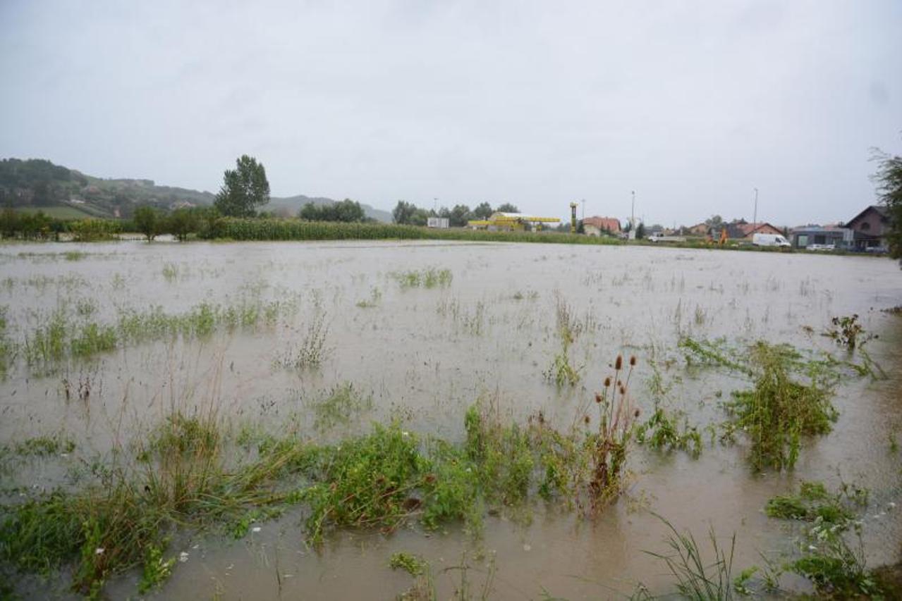 poplavljeno polje