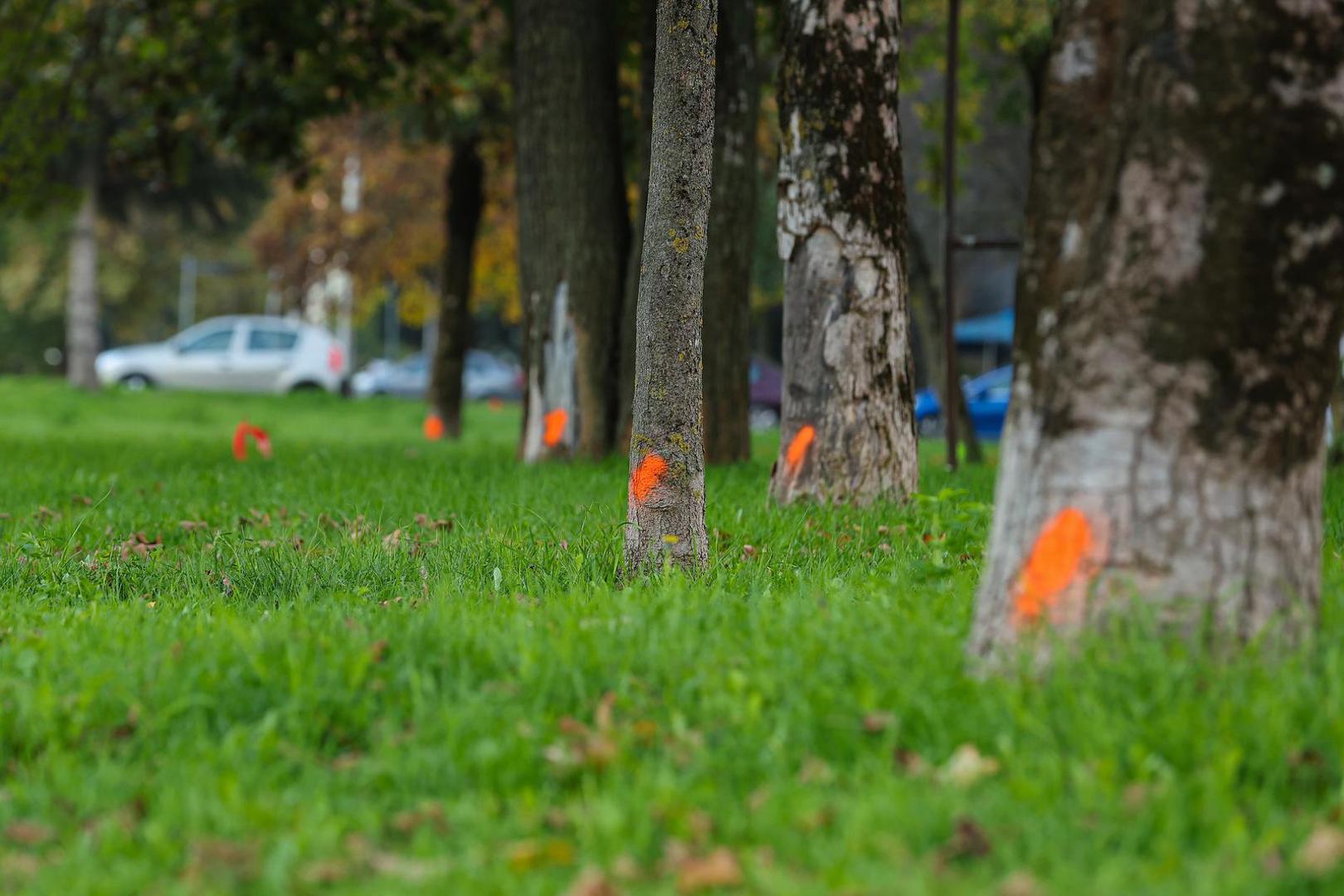 22.10.2024., Zagreb - Reportaza o prosirenju Sarajevske ulice u kojoj ce nakon radova voziti tramvaji i biti ce spojena sa Zagrebackom obilaznicom. Photo: Luka stanzl/PIXSELL