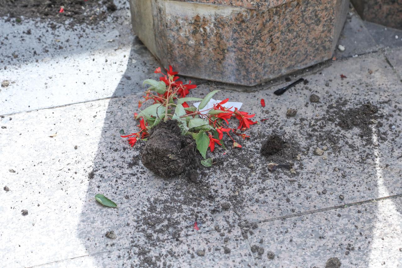 Zagreb: Iz ukrasnih vaza u Bogovićevoj počupano i razbacano cvijeće